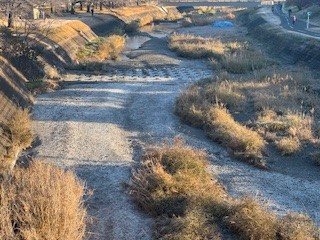 241225南浅川２ 